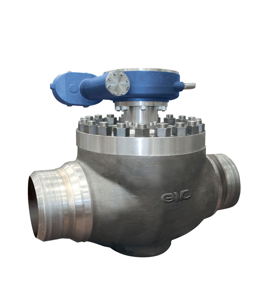 One piece Body TRUNNION Mounted Ball Valves Top Entry